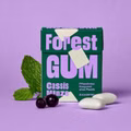 Forest Gum Cassis Minze, plastikfreies Kaugummi, 18 Packungen je 20g Bild 3