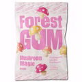 Forest Gum Mushroom Magic, Fruchtgummi, 12 Beutel je 100g Bild 2