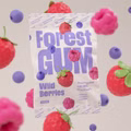 Forest Gum Wild Berries, Fruchtgummi, 12 Beutel je 100g Bild 4