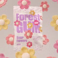 Forest Gum Sour Flowers, saures Fruchtgummi, 12 Beutel je 100g Bild 4