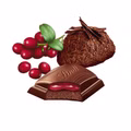 Lindt Edelbitter-Mousse Cranberry 150g 13 Tafeln Bild 3