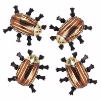 Storz Maikäfer, Edelvollmilch-Schokolade 150 Stück Storz Maikäfer, Edelvollmilch-Schokolade 150 Stück Bild 1