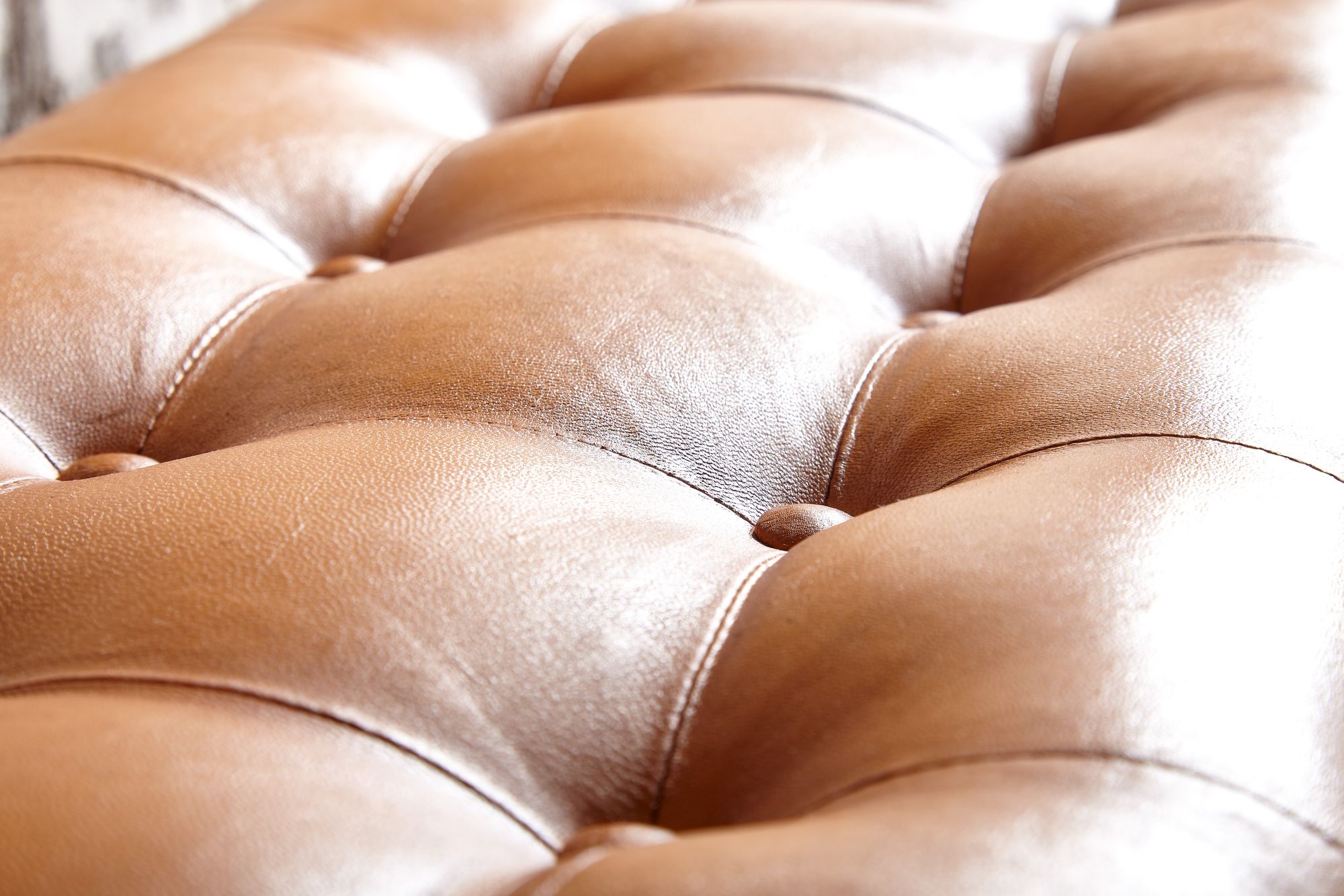 FineBuy Sitzbank Echtleder / Massivholz Bank Braun 125x50x38 cm Chesterfield, Design Polsterbank Flur, Lederbank Bettbank 2 Personen, Flurbank Modern | Farbe: Braun FineBuy Sitzbank Echtleder / Massivholz Bank Braun 125x50x38 cm Chesterfield, Design Polsterbank Flur, Lederbank Bettbank 2 Personen, Flurbank Modern | Farbe: Braun