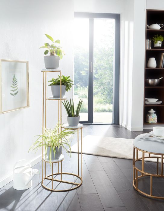 FineBuy Blumenständer Echter Marmor Weiß 36,5x107,5x36,5 cm Pflanzenständer Stehend Gold, Blumenhocker Wohnzimmer Freistehend mit 4 Ablagen, Pflanzenregal Blumenregal Groß Modern 4251757711725