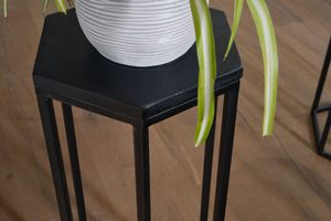 SV87087 FineBuy Beistelltisch 3er Set Massivholz / Metall Satztisch Sechseckig, Säulentisch Pflanzentisch 3-teilig, Blumenständer Blumentisch Wohnzimmer, Pflanzenhocker Blumenhocker