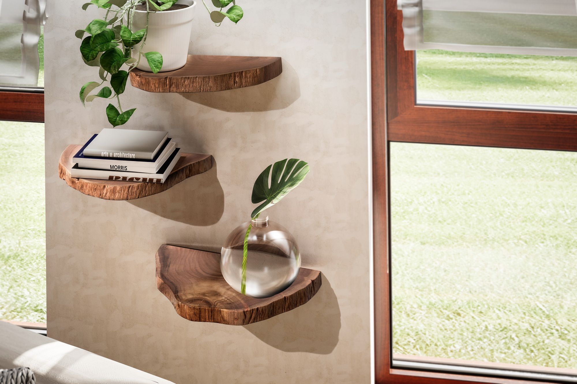 FineBuy Wandregal 3er Set Akazie Vollholz Hängeregal Baumscheibe, Natur Pflanzentreppe für die Wand, Schweberegal Hängend mit Baumkante, Blumentreppe Baumstamm Modern | Farbe: Braun