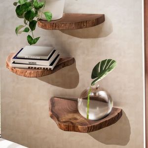 FB98594 FineBuy Wandregal 3er Set Akazie Vollholz Hängeregal Baumscheibe, Natur Pflanzentreppe für die Wand, Schweberegal Hängend mit Baumkante, Blumentreppe Baumstamm Modern 4251757719608