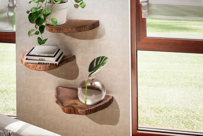 FineBuy Wandregal 3er Set Akazie Vollholz Hängeregal Baumscheibe, Natur Pflanzentreppe für die Wand, Schweberegal Hängend mit Baumkante, Blumentreppe Baumstamm Modern 4251757719608