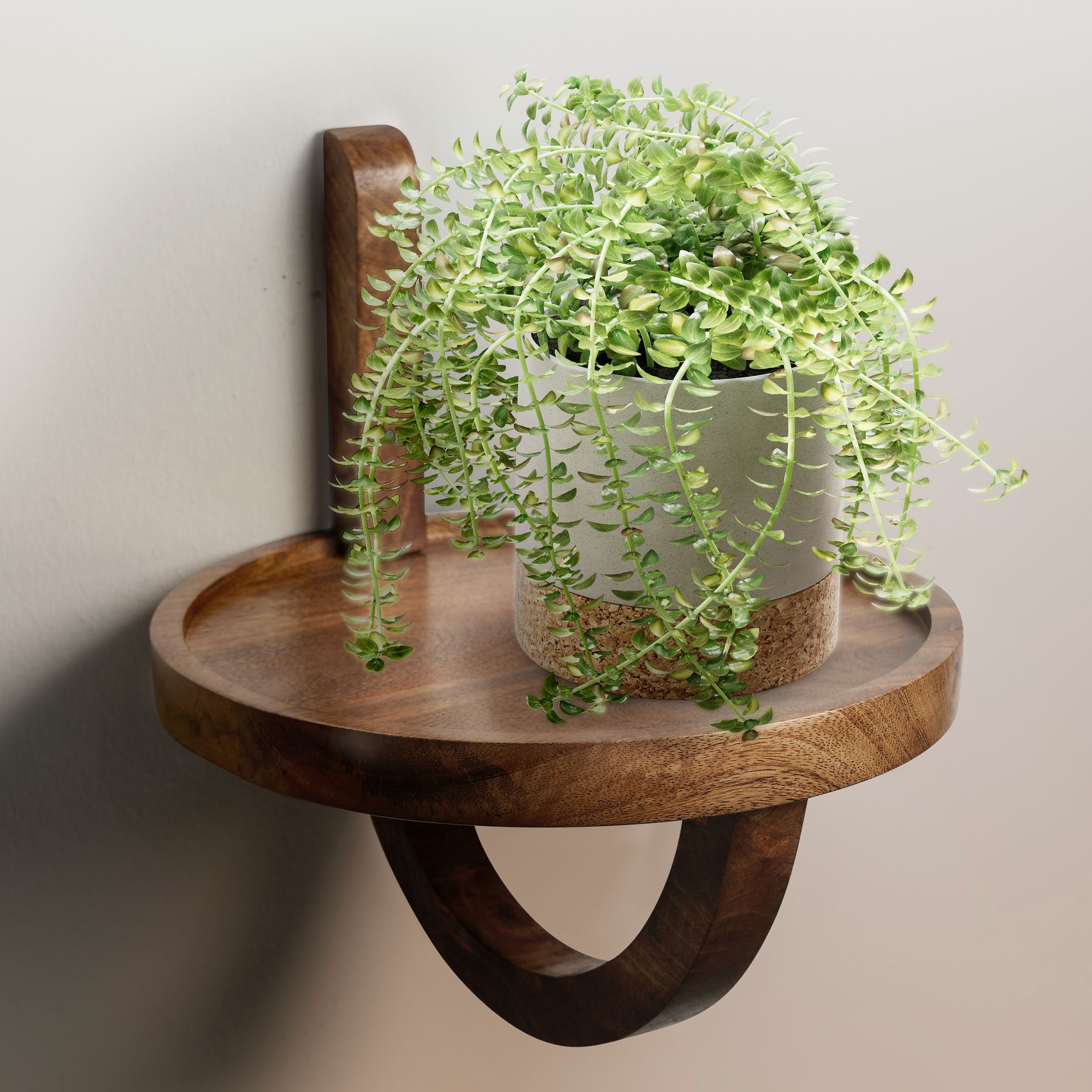 FineBuy Wandregal 30x33x30 cm Mango Massivholz Hängeregal Rund Modern, Design Nachttisch für die Wand, Regal Hängend, Akzentregal Wohnzimmer | Farbe: Braun