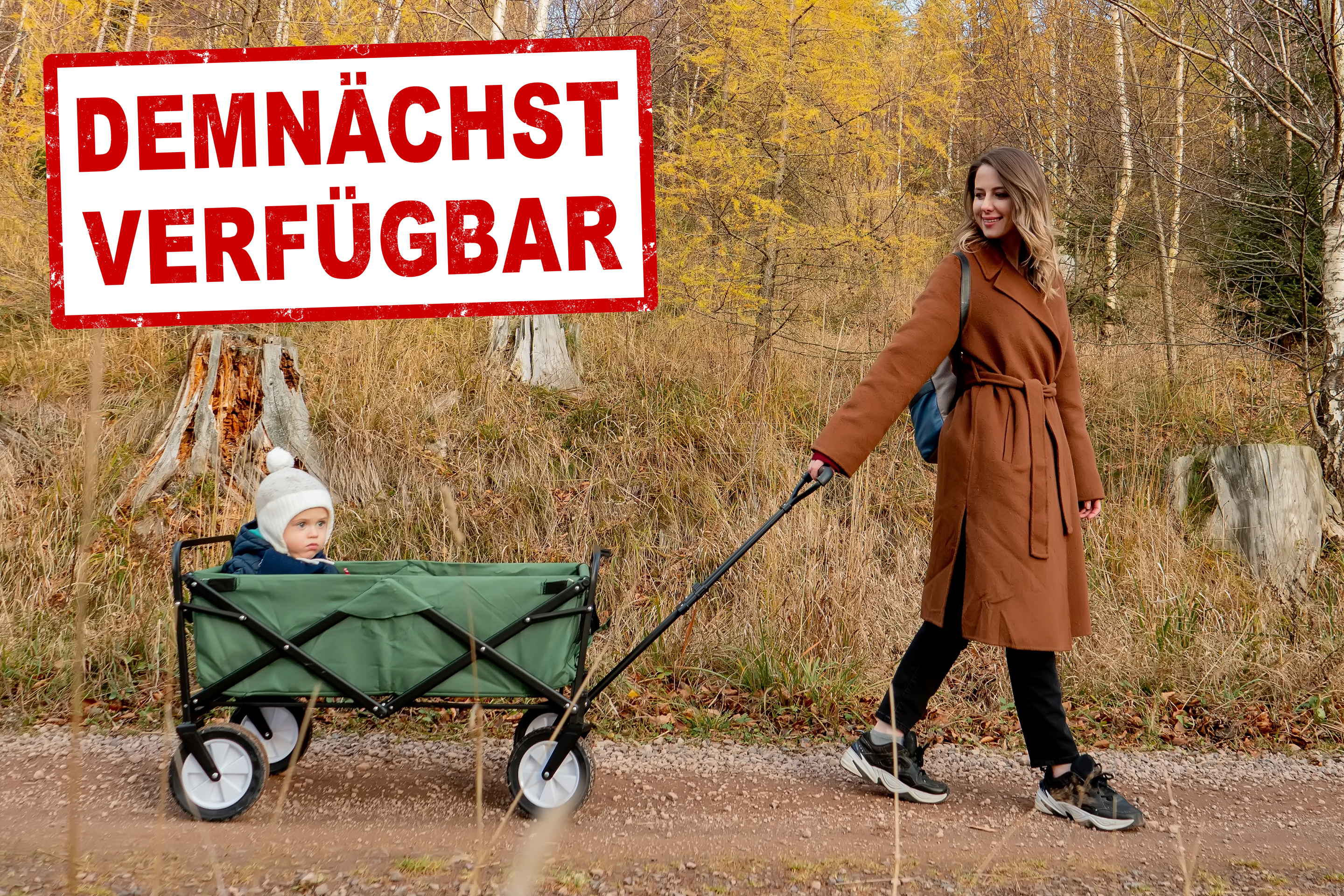Kaufkriterien für Bollerwagen