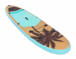 Stand-Up-Paddle-PALMA-305-cm-schraege-Ansicht.jpg