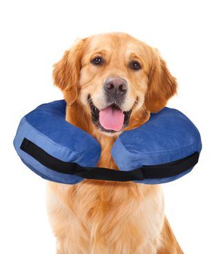 keramik halsband hunde EM-Keramik Halsband Leo mit Muscheln – LoveBandit main image 0