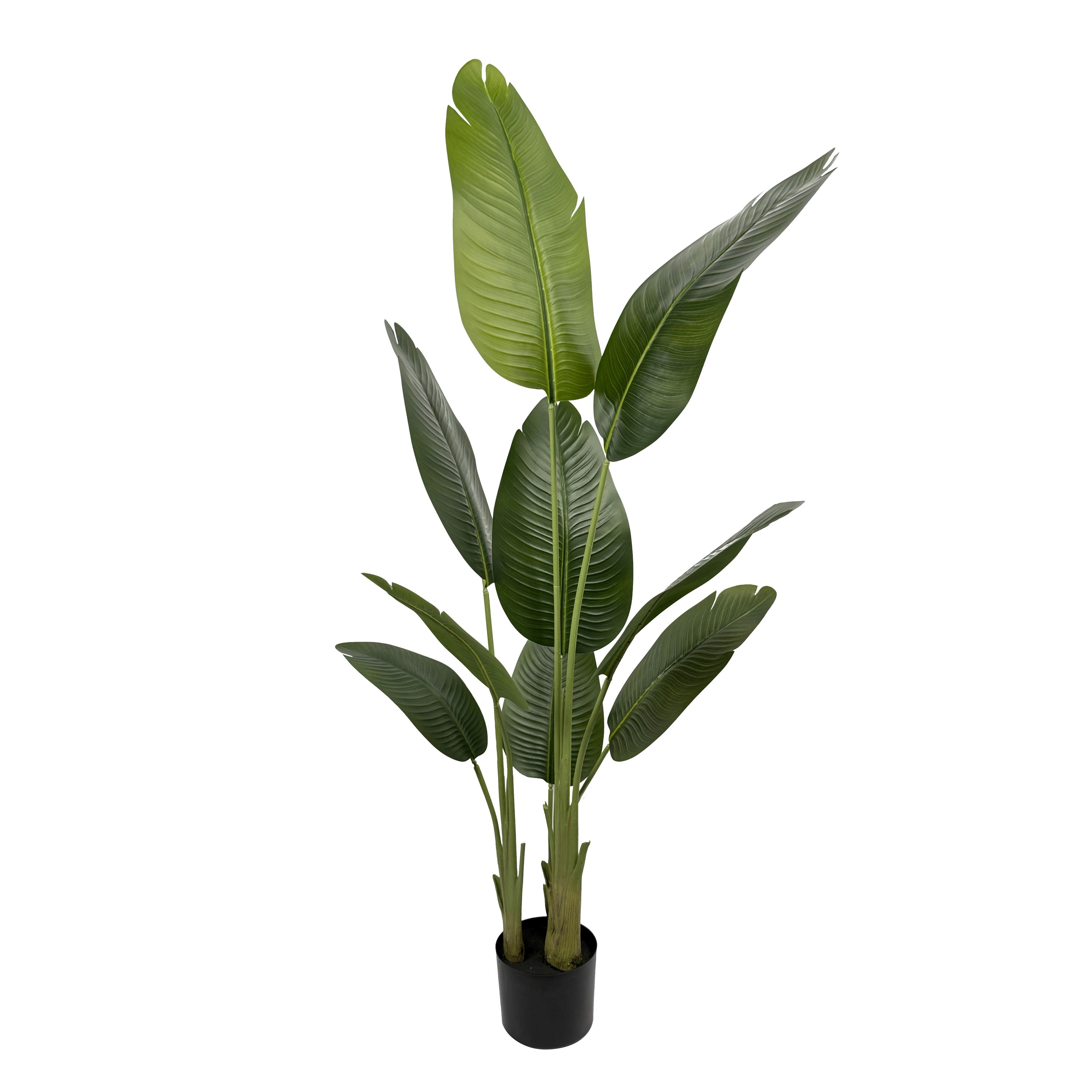 Strelitzie künstlich 160 cm