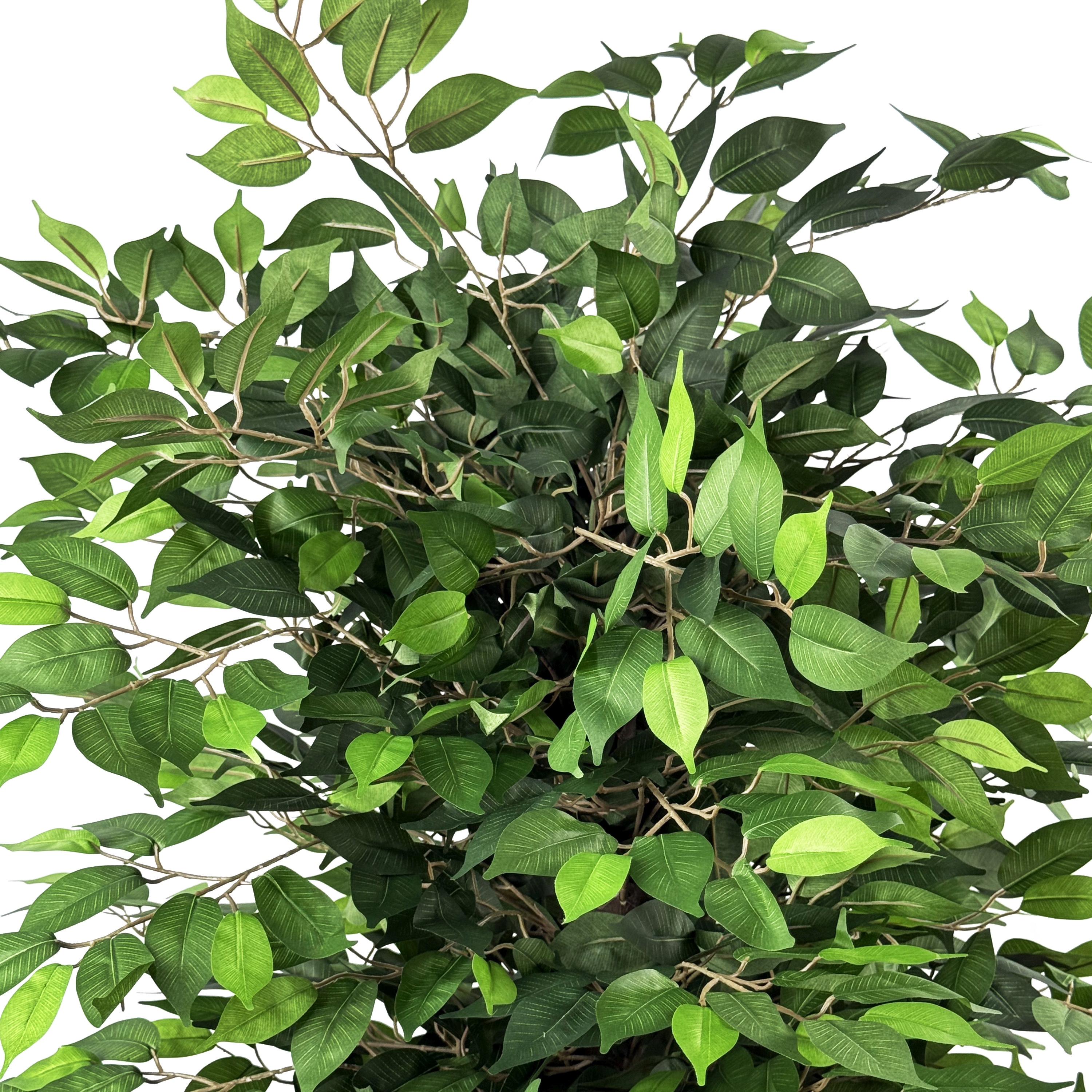 Ficusbaum knstlich 180 cm | GONSER.CH