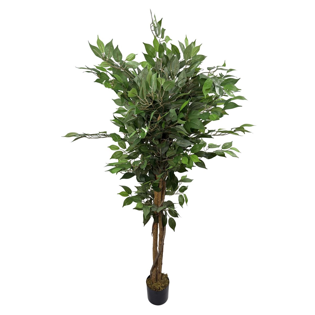 Ficusbaum knstlich 150 cm | GONSER.CH