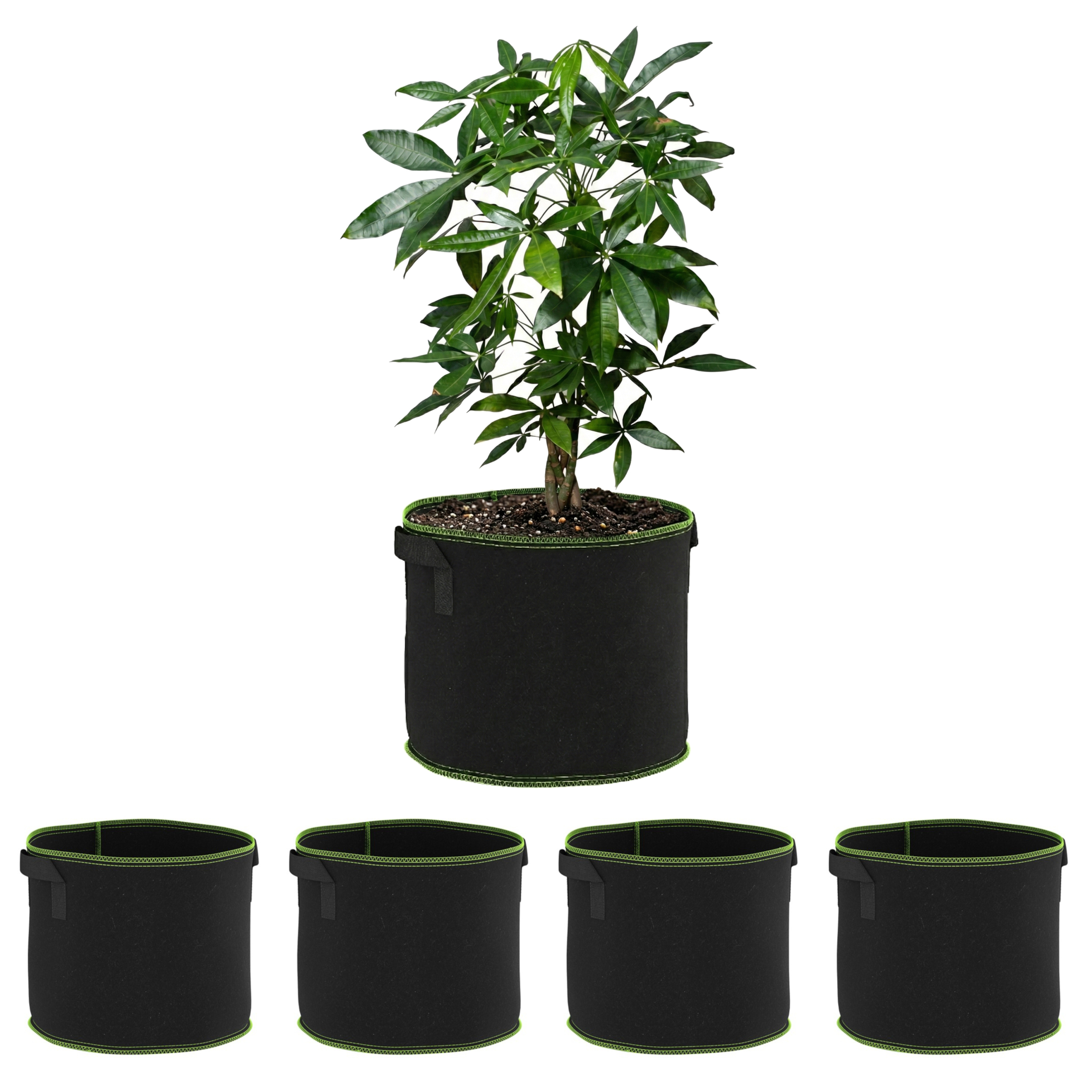 Pflanzsack mit Tragegriffen 5er Set 17L