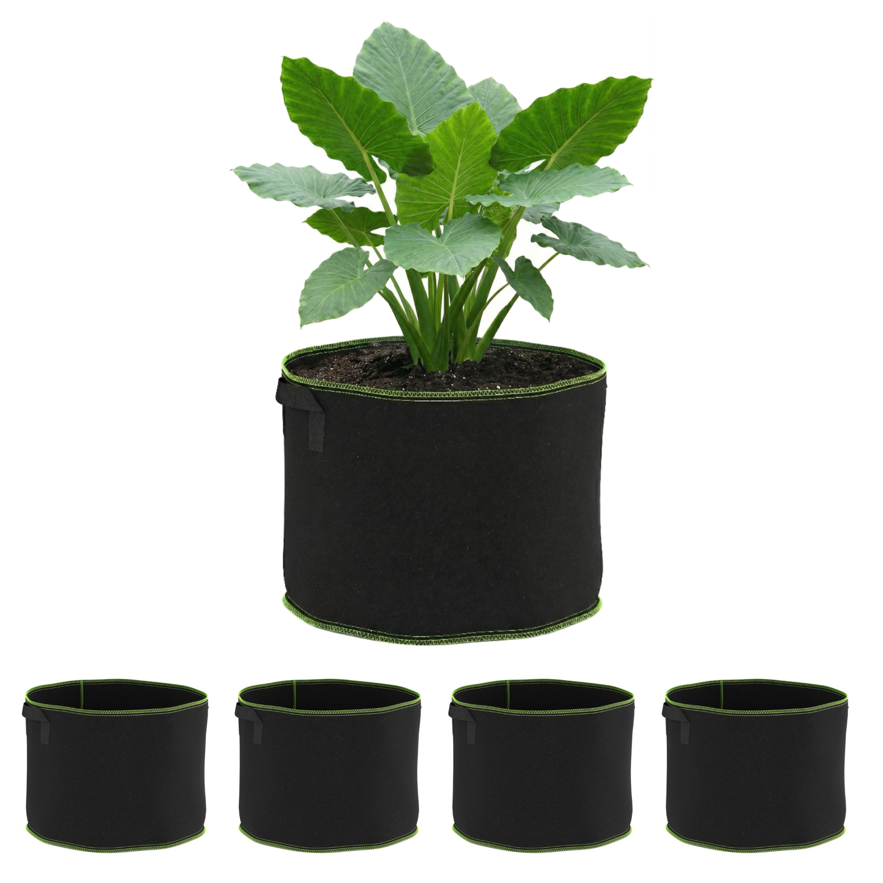 Pflanzsack mit Tragegriffen 5er Set 37L