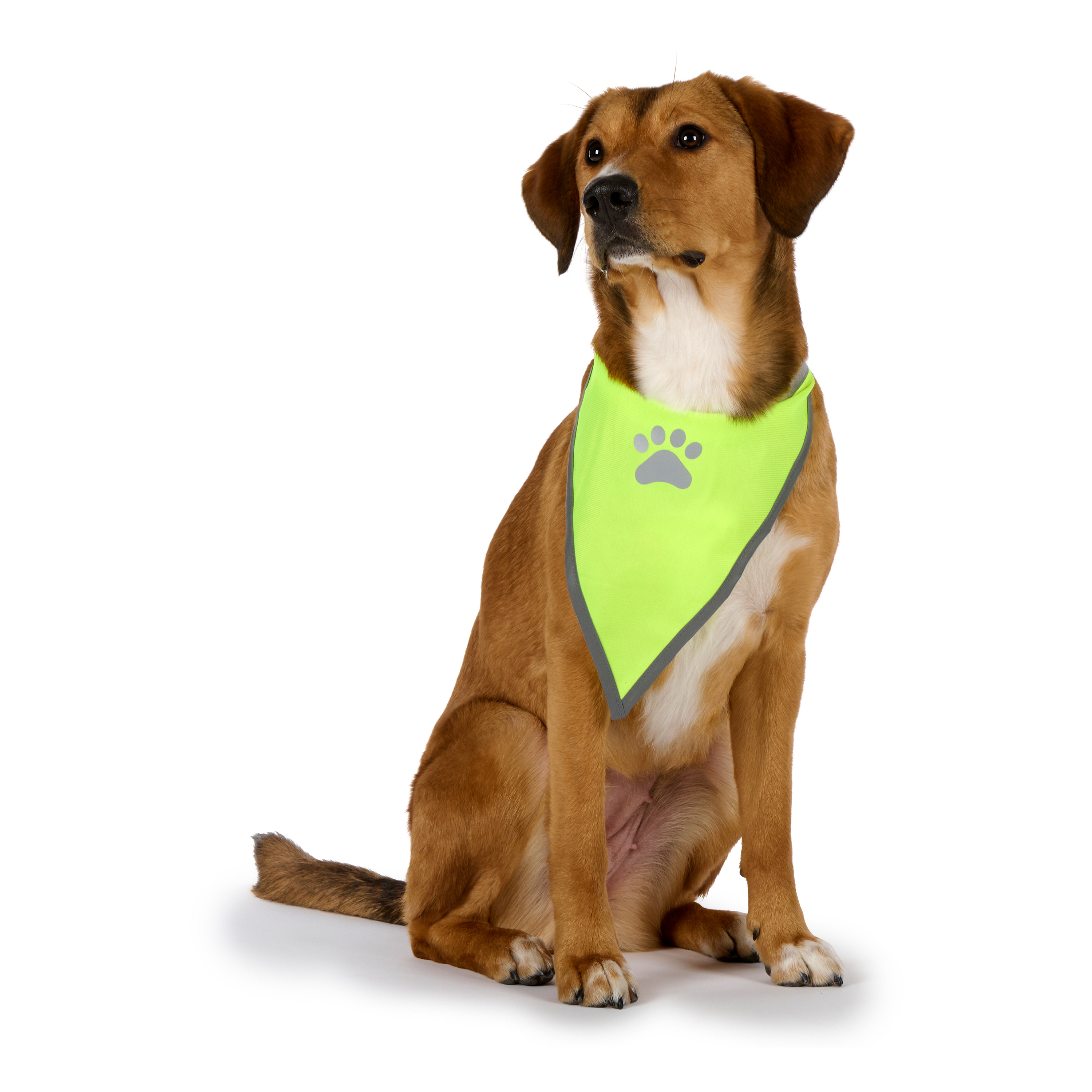 Leuchtweste Bandana Grösse M / L gelb