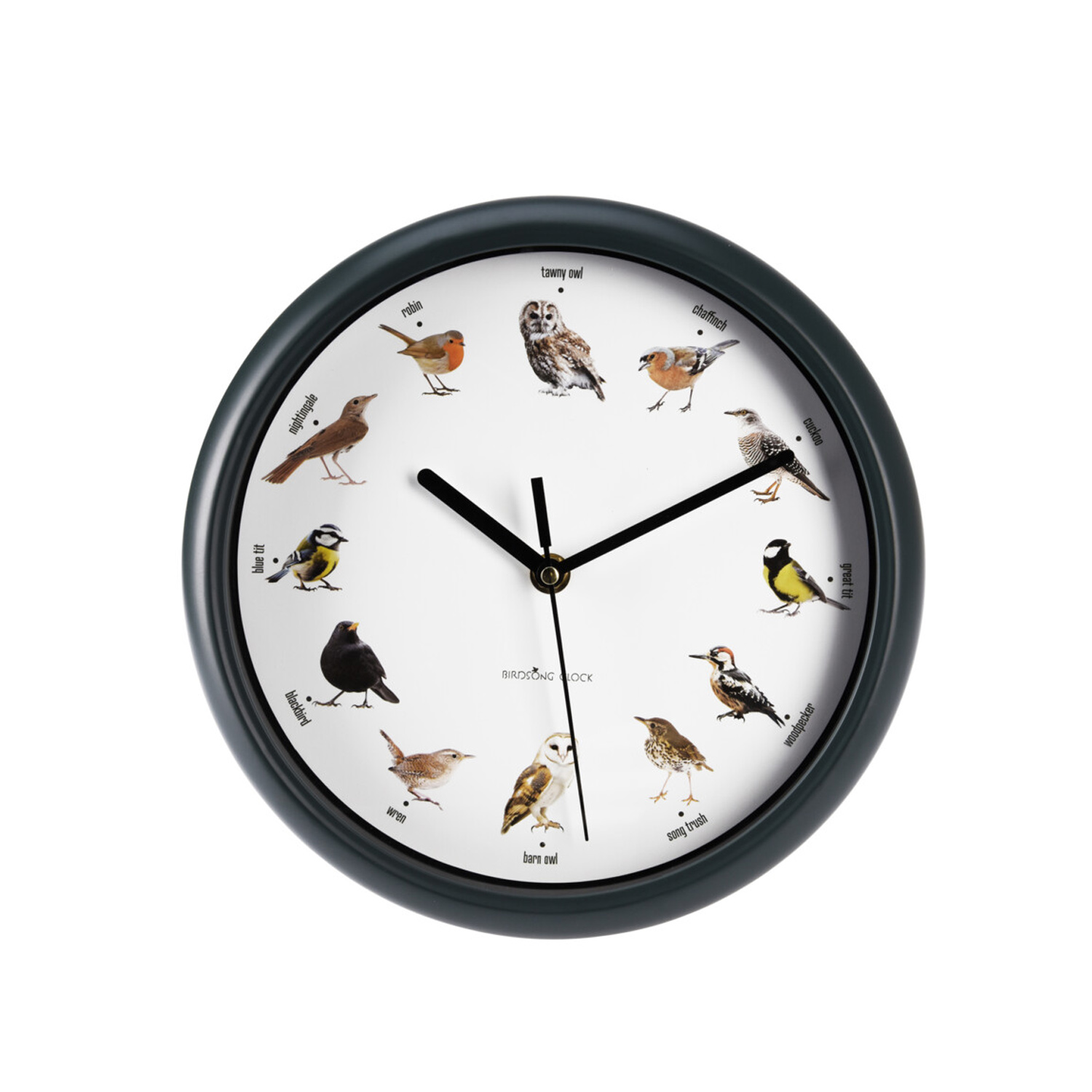 Image of Wanduhr mit Vogelgeräuschen 25 cm