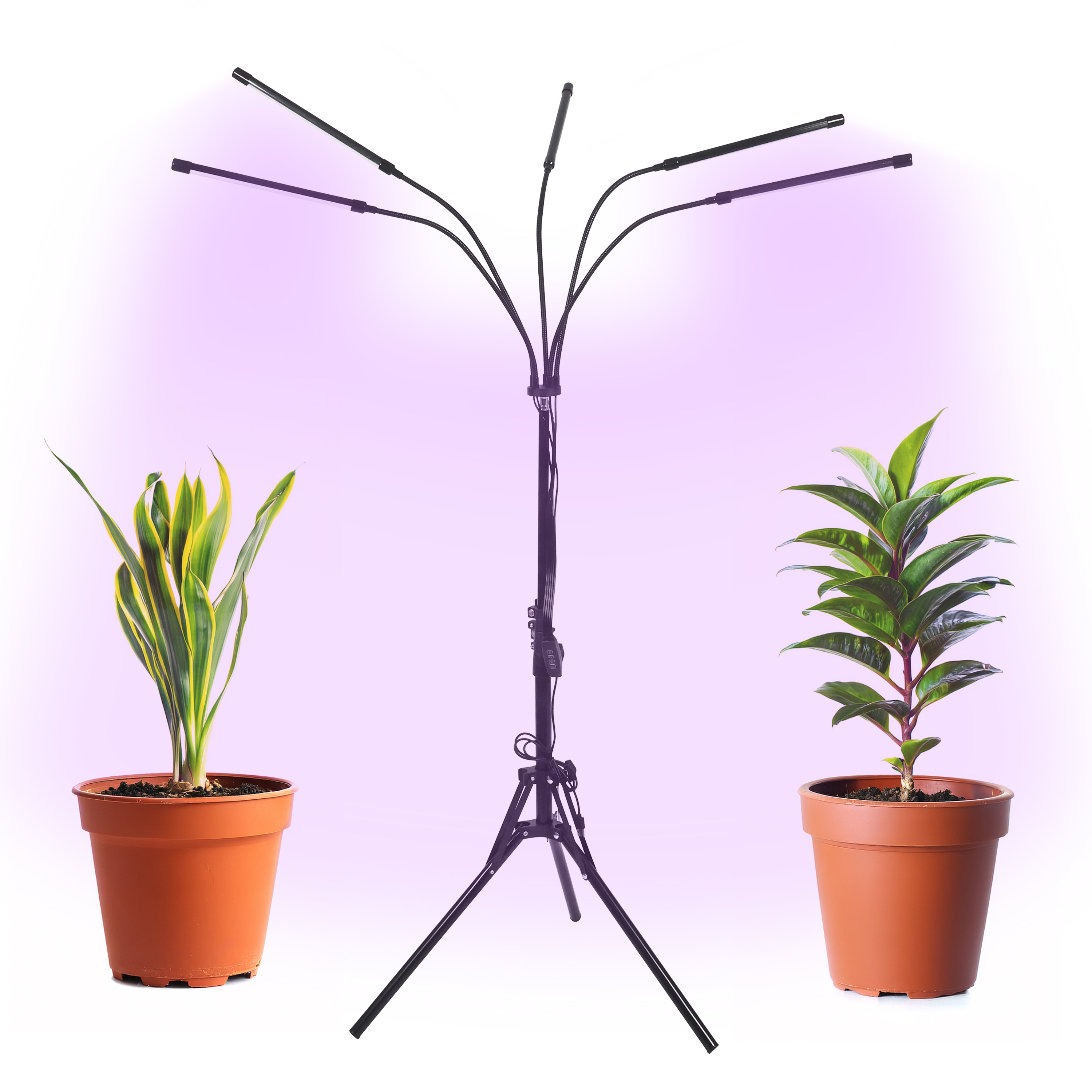 Image of LED Pflanzenlampe 5-armig