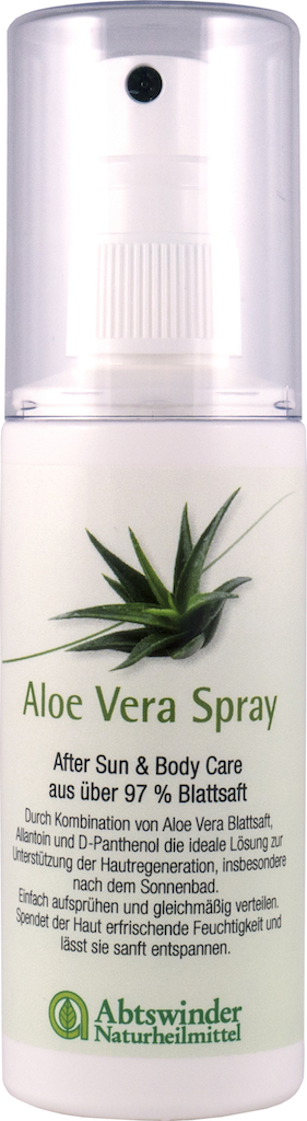 aloe vera gift Aloe Aristata Succulent Gift – Grow by Gifting main image 0