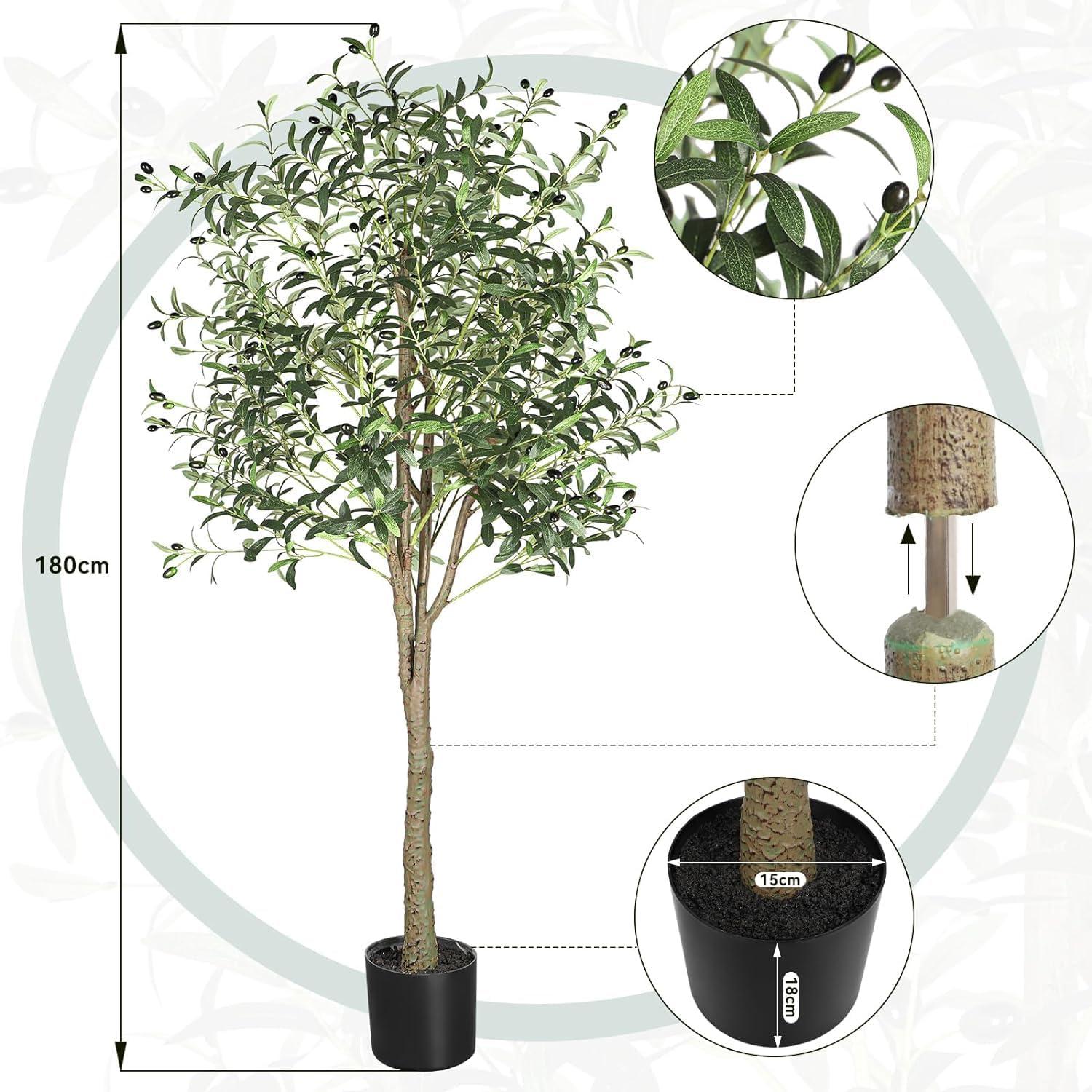 was für dünger für olivenbaum ProviPlant Oliven-Dünger: Für Olivenbäume im Innen- und Außenbereich