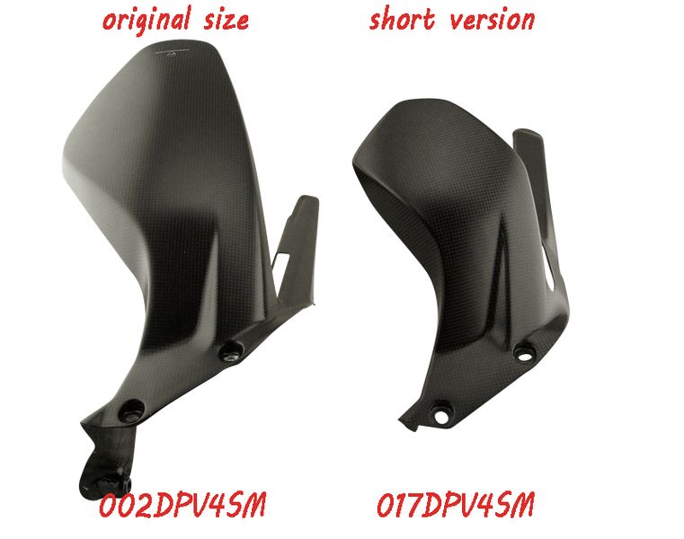 Kotflügel hinten short Carbon Ducati Panigale V4, Streetfighter V4  