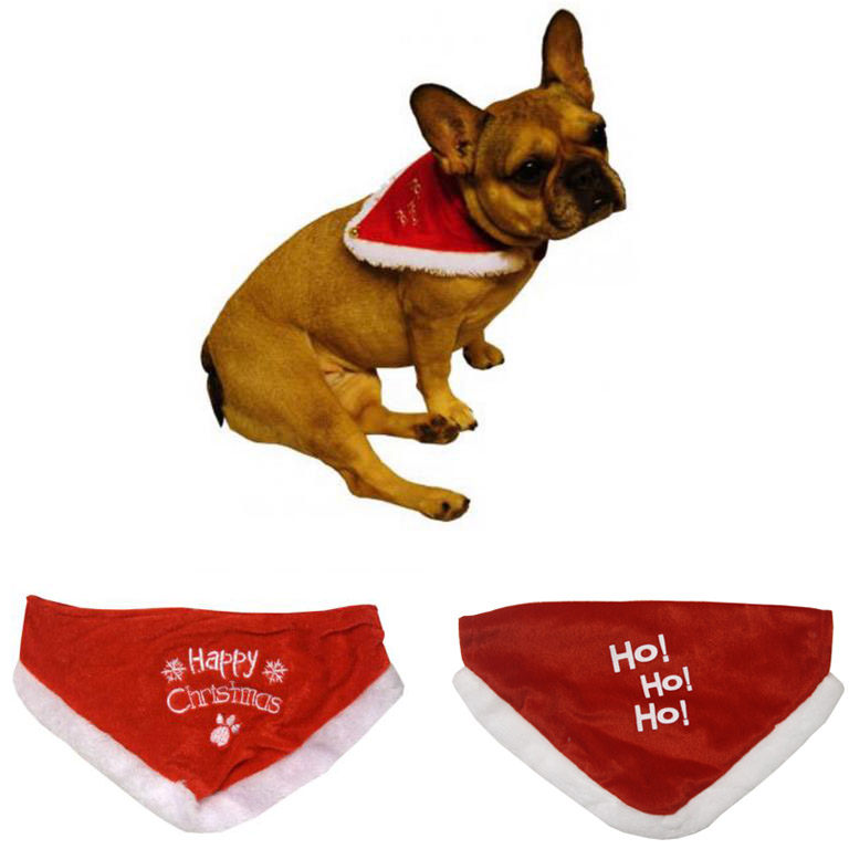 dackel halsband Hundehalsband Leder Dackel außen orange/innen dunkelbraun main image 0