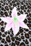 Lilien Rockabilly Pin Up Taglilien Haarspange Haarblüte