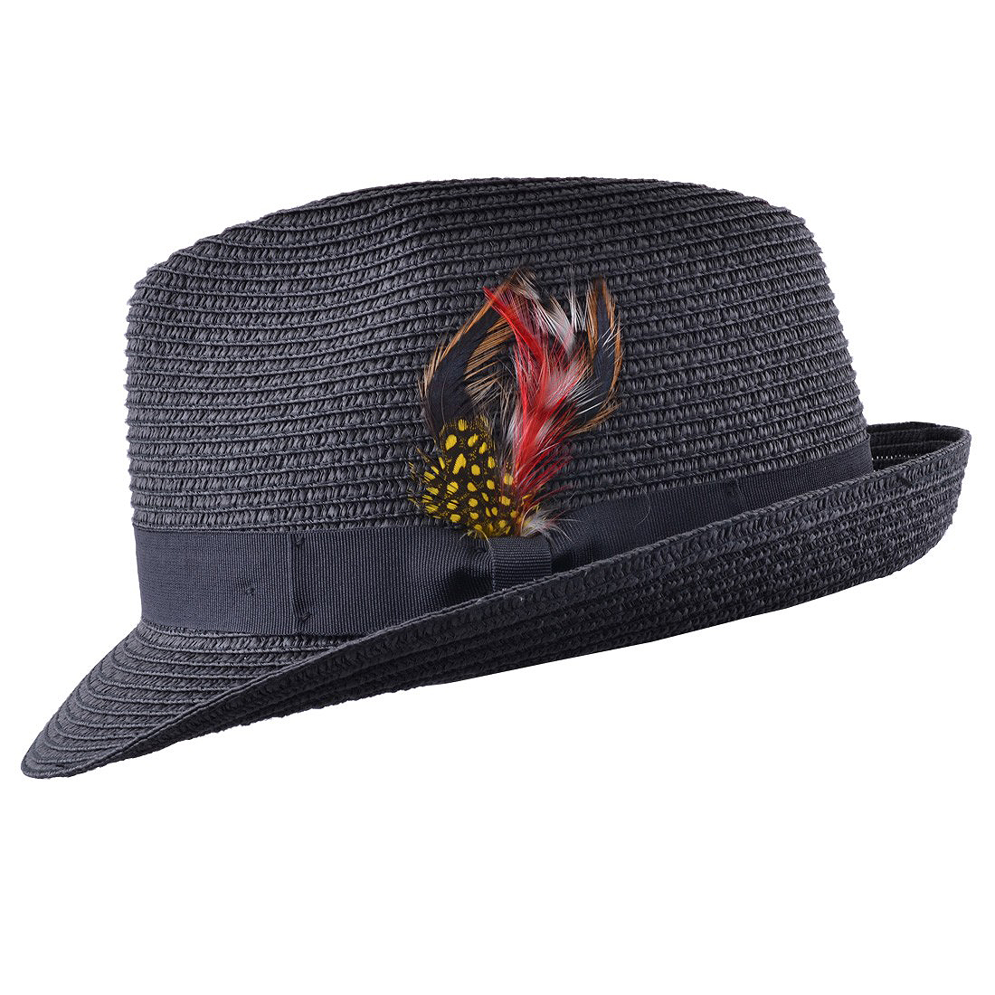 trilby hat with feather