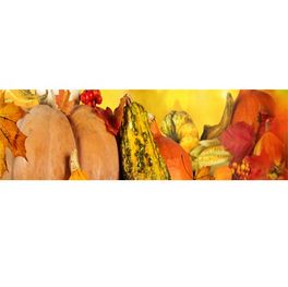 Klebefolie Herbst