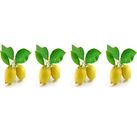 Küchenrückwand Folie Möbel & Wohnen Küchenrückwand 718087