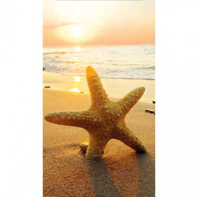 Download Klebefolie kuechenrueckwand strand For iPhone Free Klebefolie Kuechenrueckwand Strand