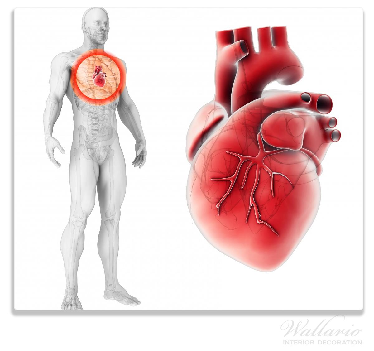 Get Menschen mit herz HD Menschen Mit Herz