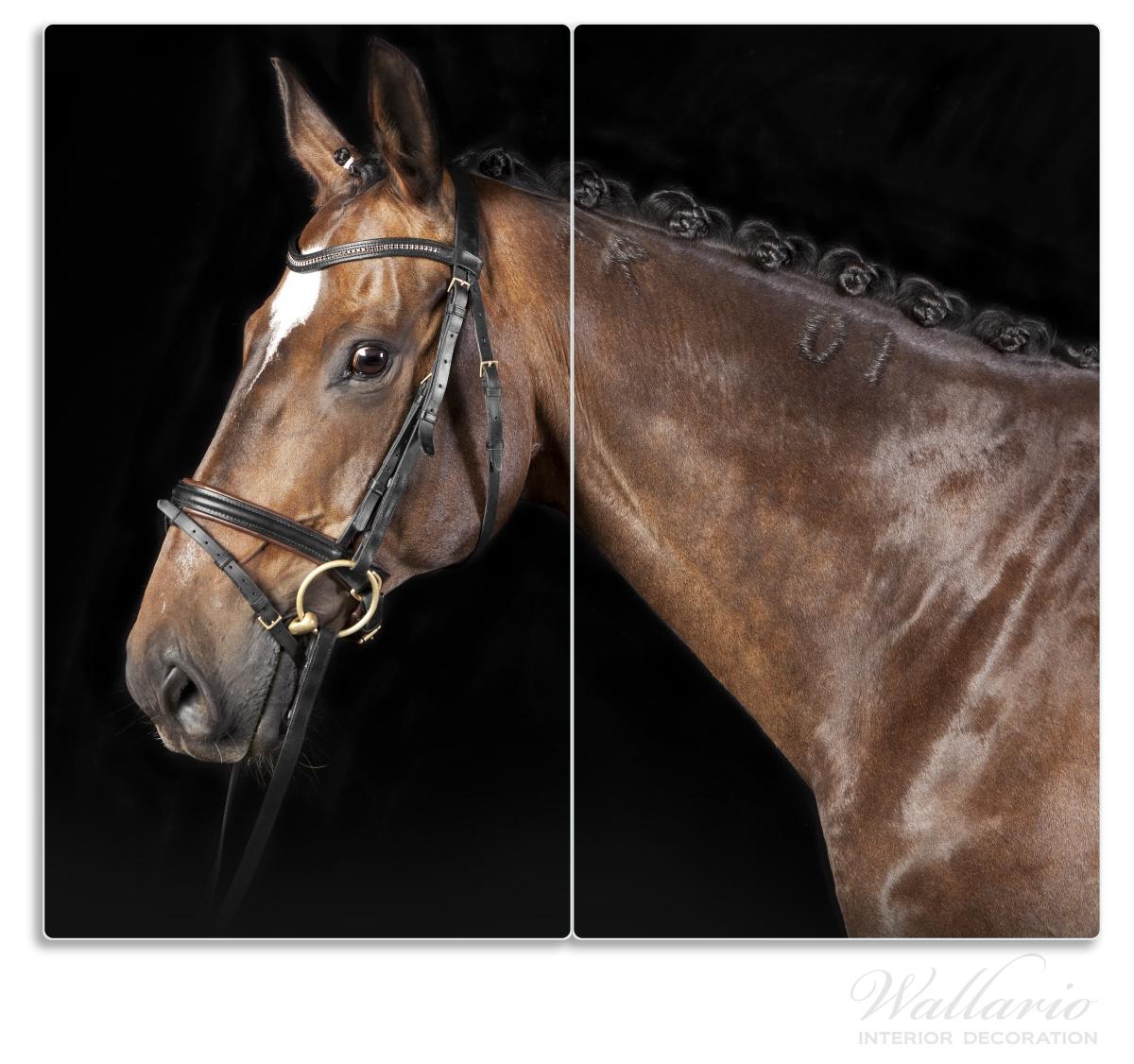 Herdabdeckplatte Herausgeputztes Pferd mit Geschirr