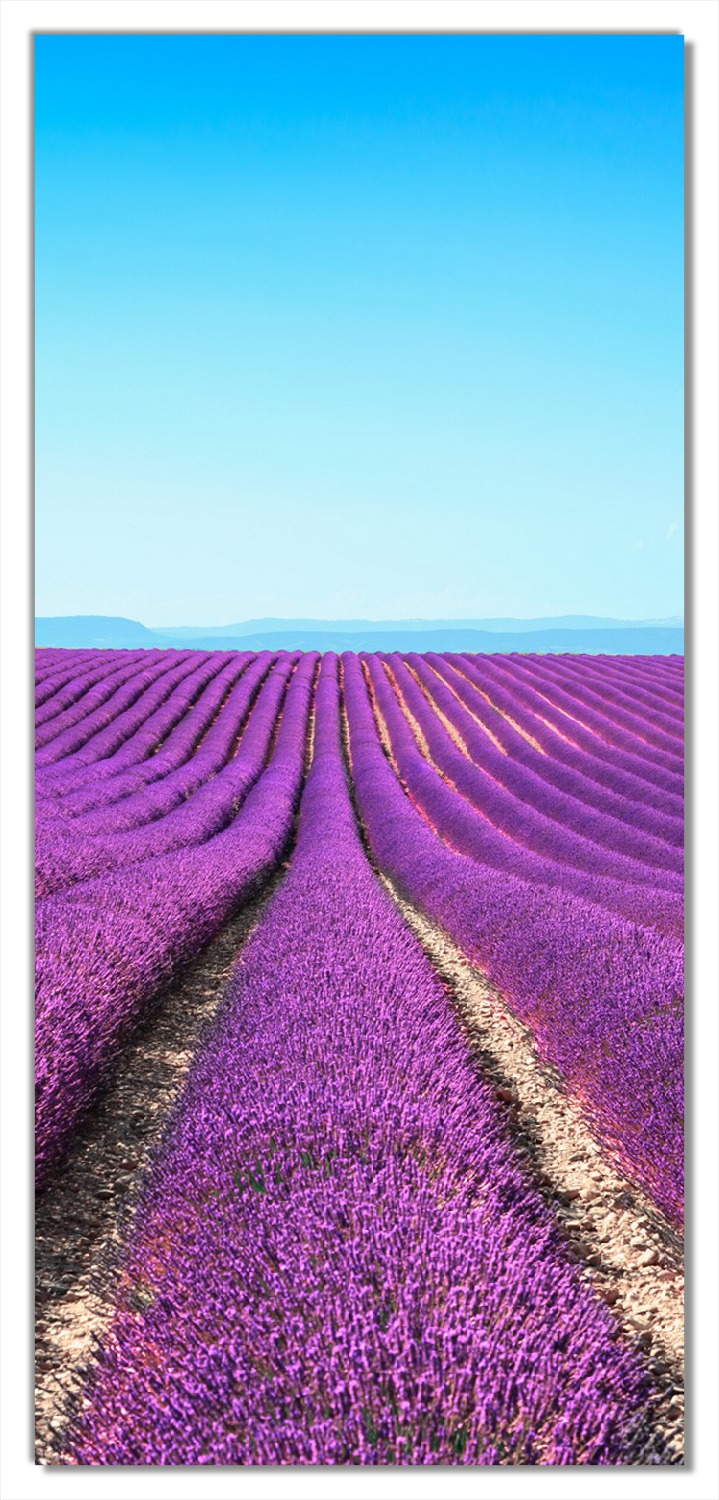 Lavendel Heißluftballon Türaufkleber 77x200cm - Selbstklebende 3D Türdekoration