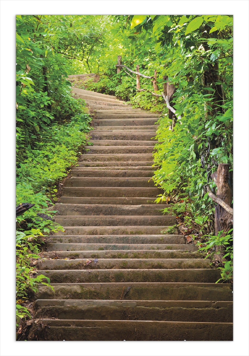 Poster Steintreppe Im Wald PlentyShop LTS