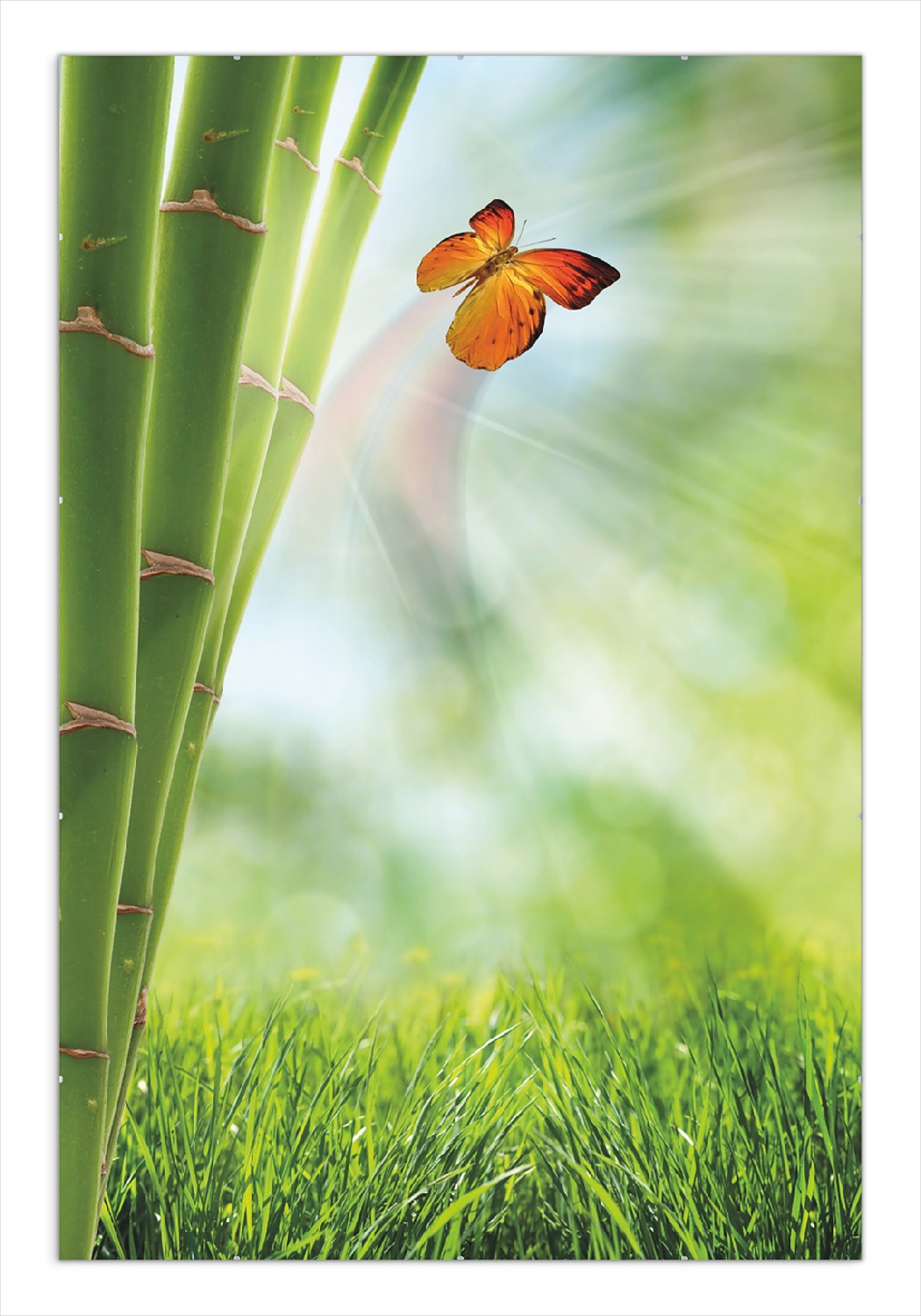 Poster Schmetterling Im Gr nen Mit Bambus Wallario de