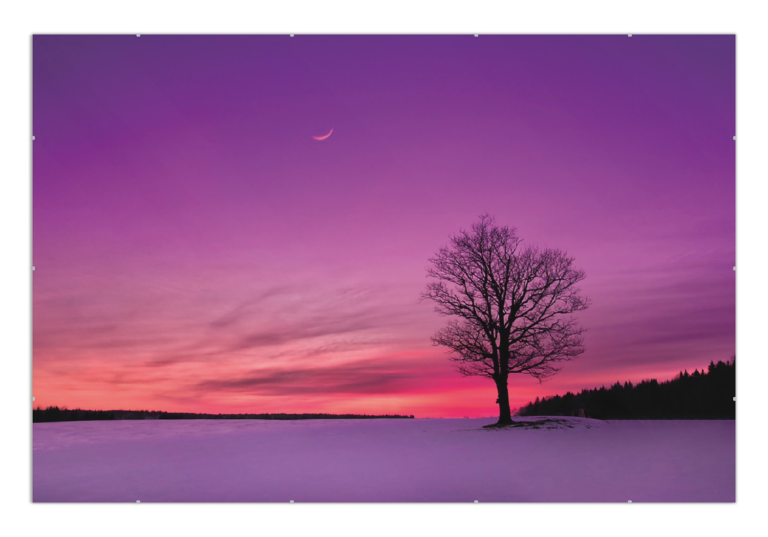 Poster Mond Und Baum Am Abend Bei Schnee Wallario de