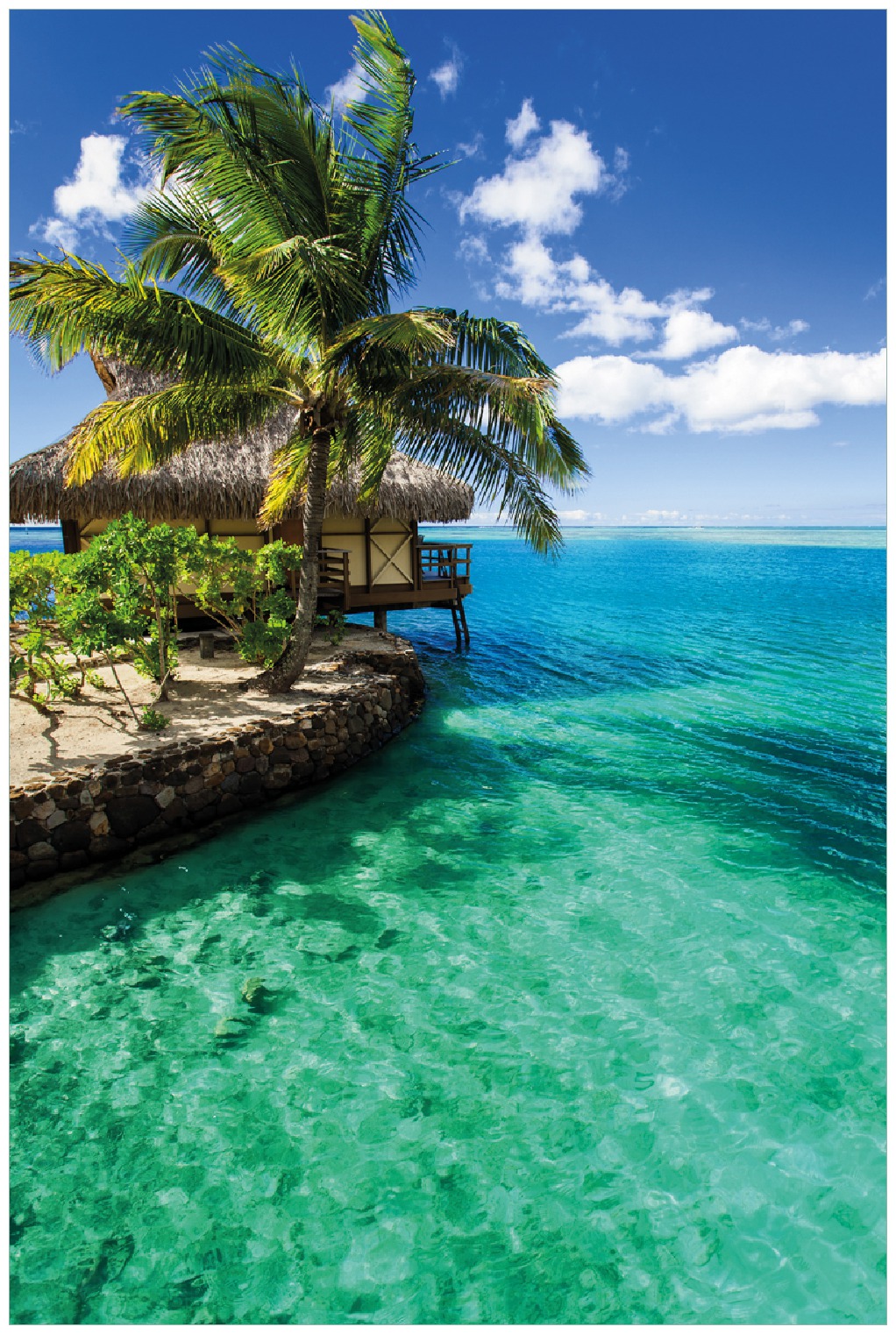 Poster Karibisches Meer Einsame H tte Unter Palmen Wallario de