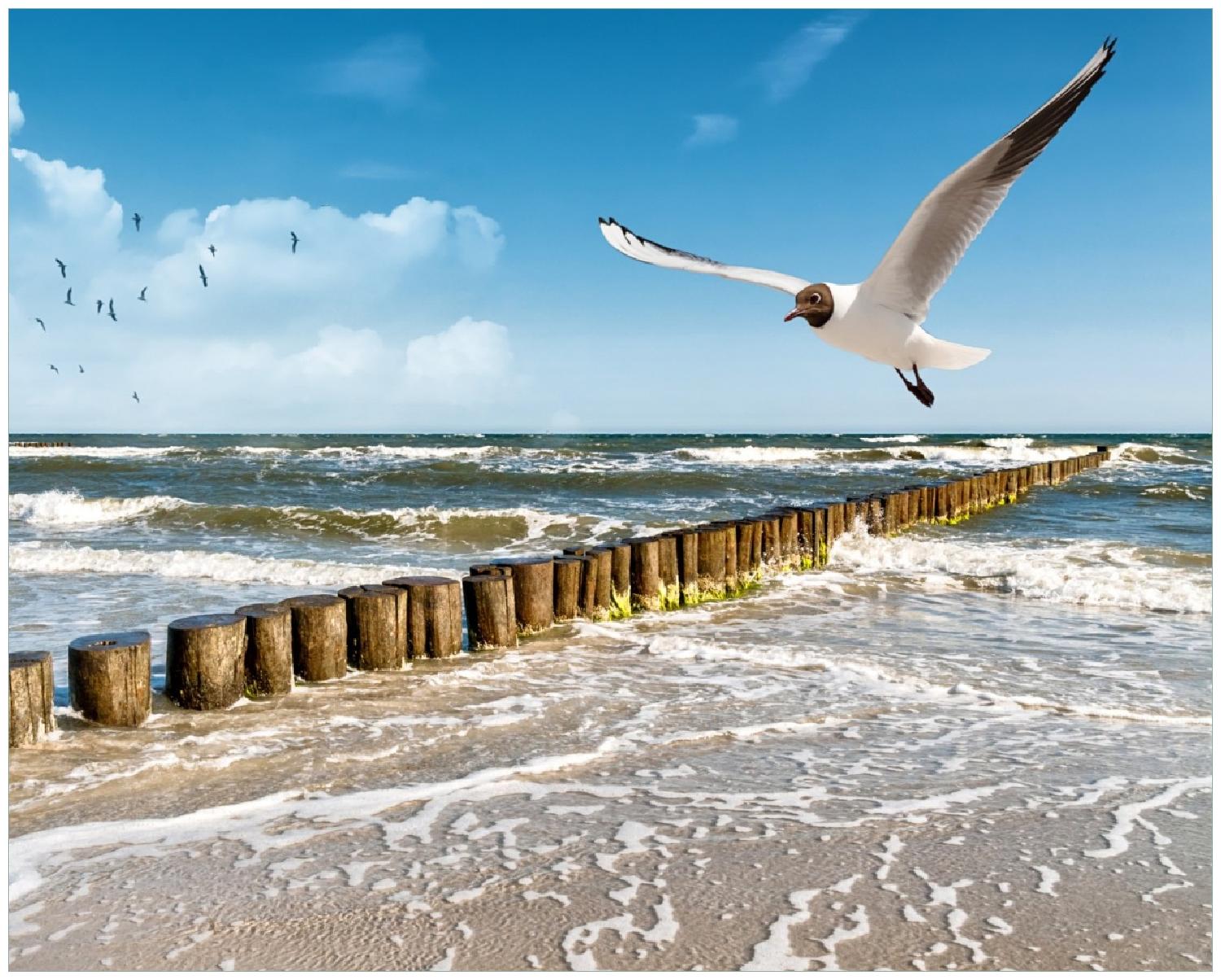 Poster Fliegende Möwe am Strand | Wallario.de