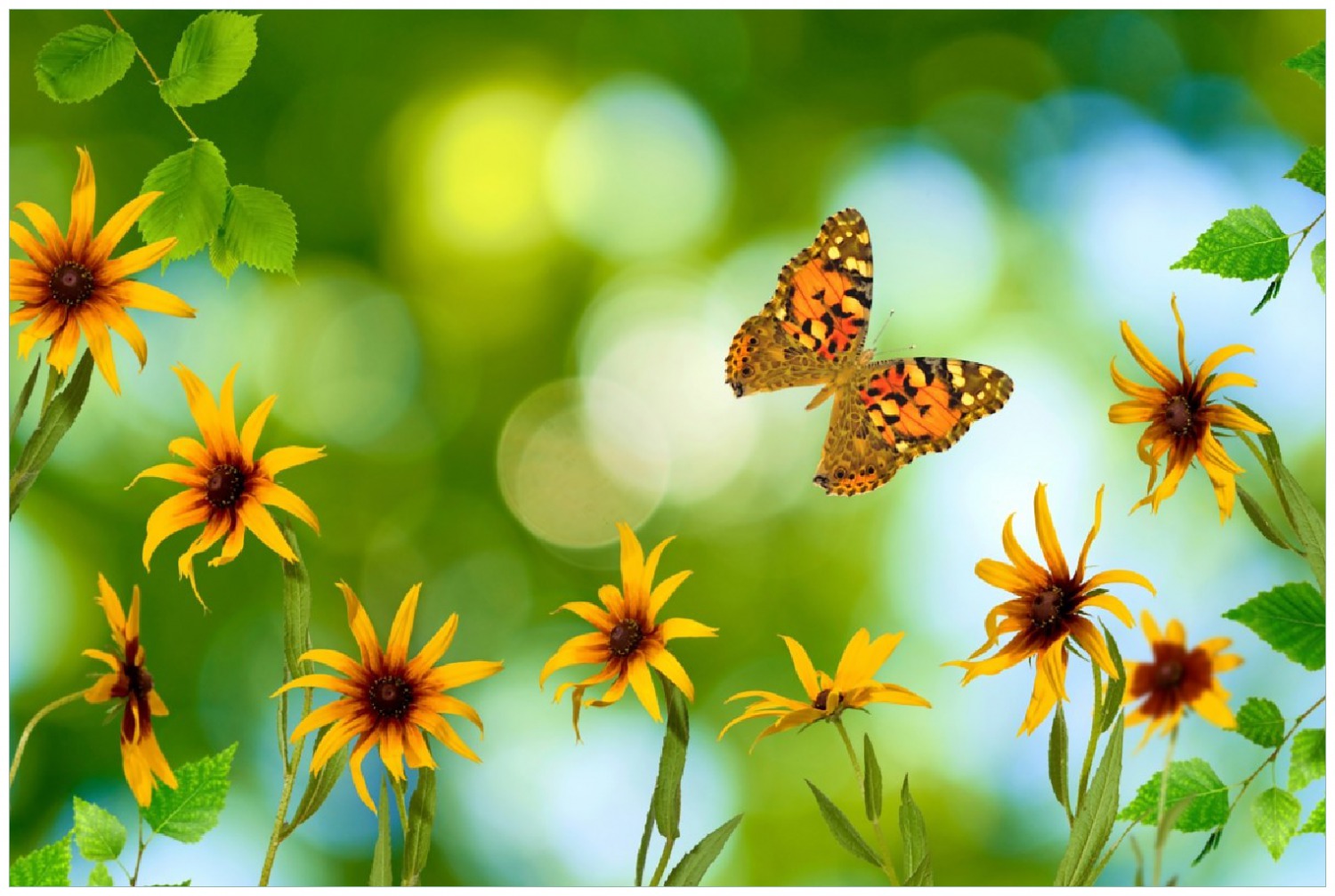 Poster Blumen mit Schmetterling | plentyShop LTS