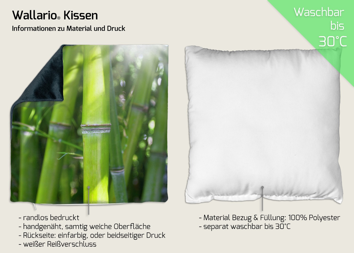 Kissen Bambus im Sonnenschein | Wallario.de
