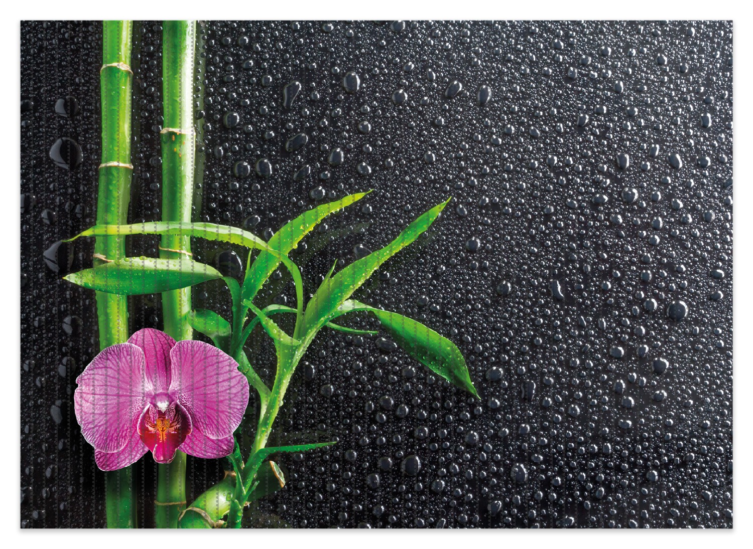 Duschmatte Bambus und pinke Orchidee auf schwarzem Glas mit Regentropfen |  Posterdepot. de