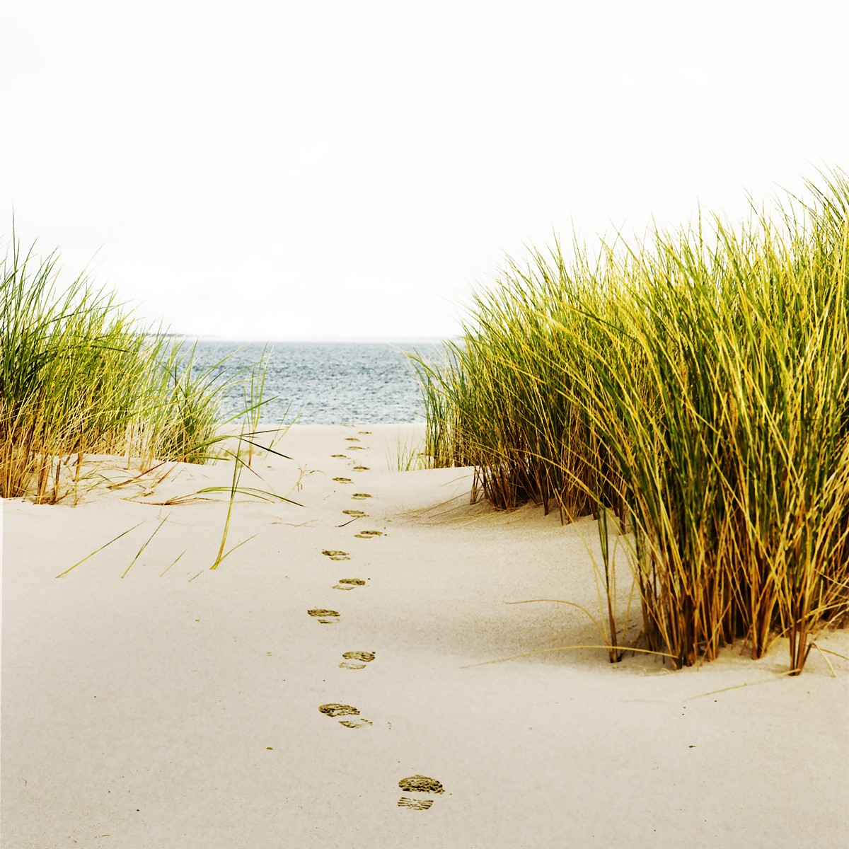 Miss Melody Stickerbuch Wallario Magnetfolie Für  Kühlschrank/Geschirrspüler, Magnetisch Haftend - 60 X 60 Cm, Motiv: Spuren  Im Sand- Fußspuren Durch Die Düne Zum Meer Neodym Magnet Spielzeug, image size:1200x1200