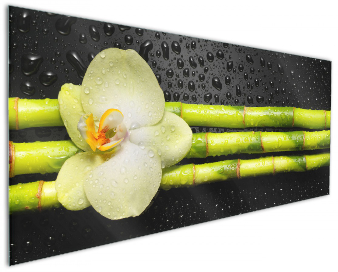 bambus imprägnieren ProviPlant Bambus-Dünger: Stickstoffbooster für Bambus & Gräser