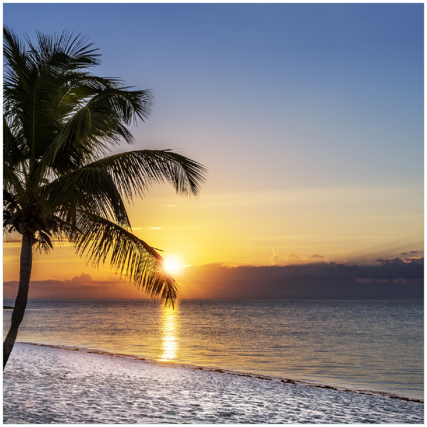 Selbstklebende Möbelfolie Palme am Strand - Sonnenuntergang über dem Meer