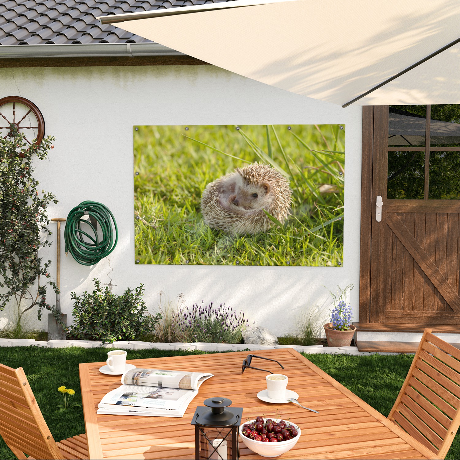 Gartenposter Eingerollter Igel im Gras | Wallario.de