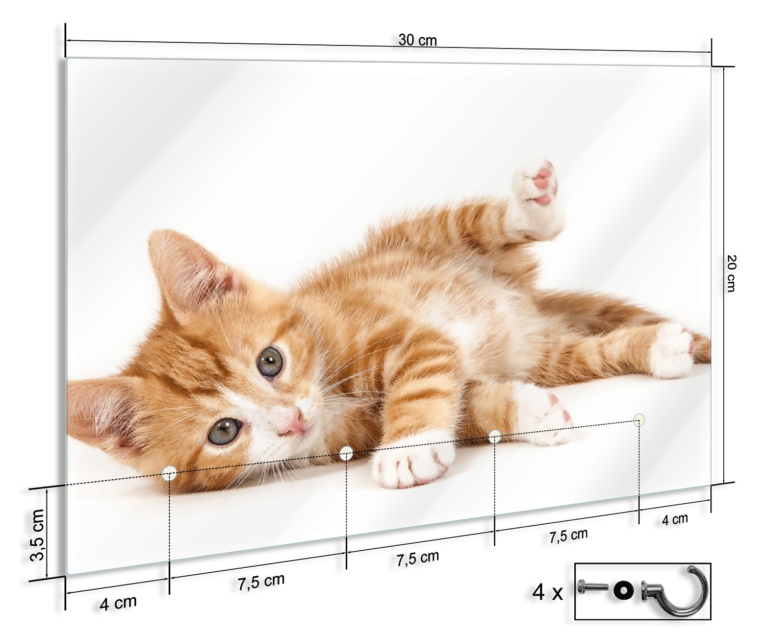 Magnetboard Weiß Glasbild Süße Katze Mit Großen Augen - Rot Weiß Getigert55  X 55 Katzen Glas, image size:1500x1242