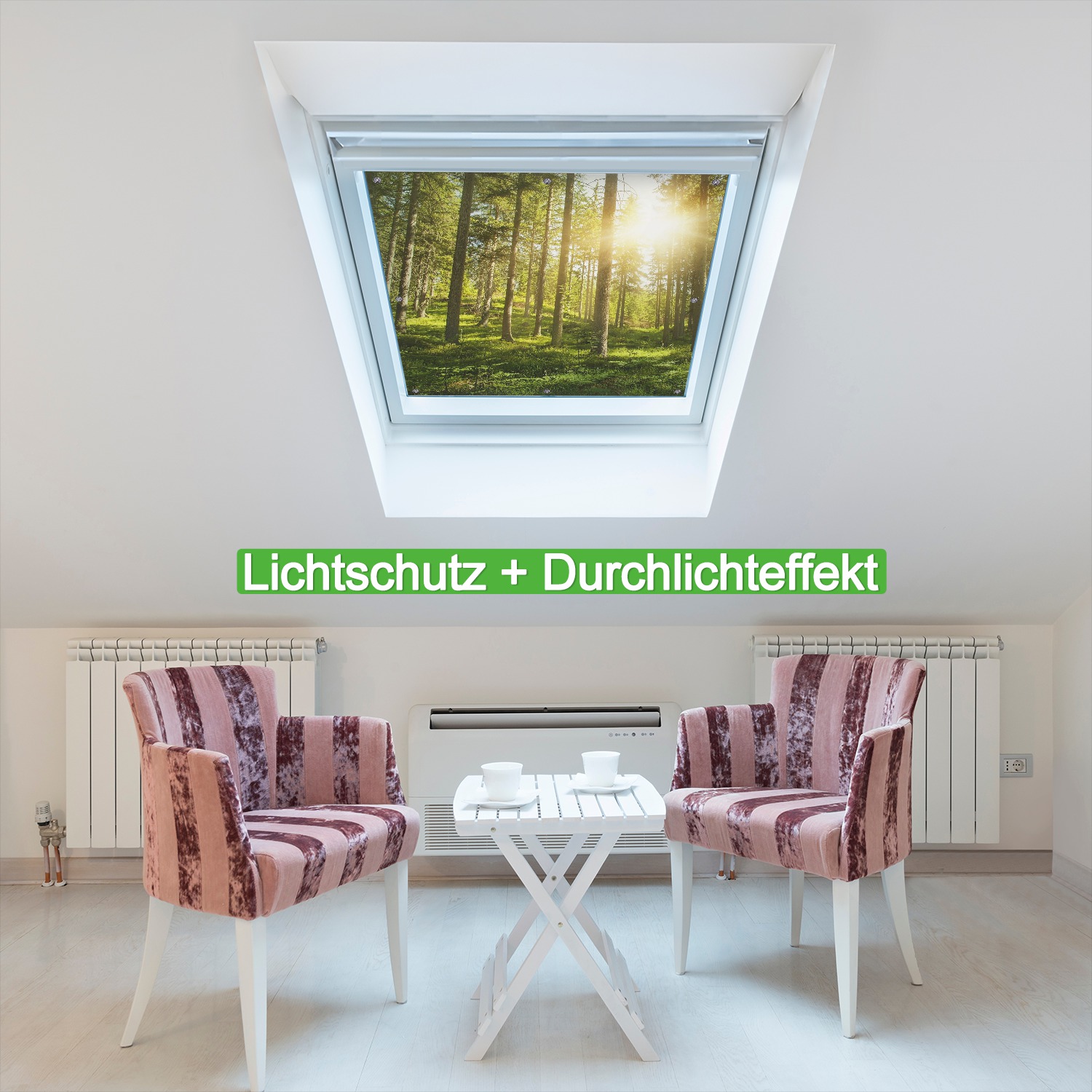 Lichtschutzbild Sonnenstrahlen im Nadelwald mit Moos und Farn | Wallario.de